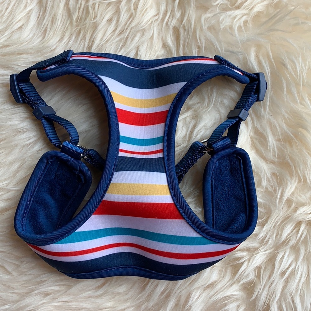 Puppy harness.